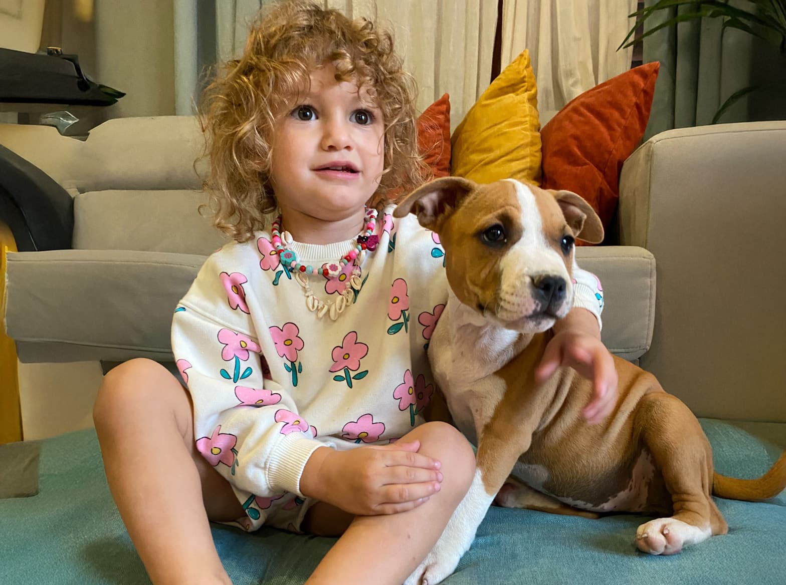 Desde o primeiro dia, criados para serem parte da família com equilíbrio e nobreza.