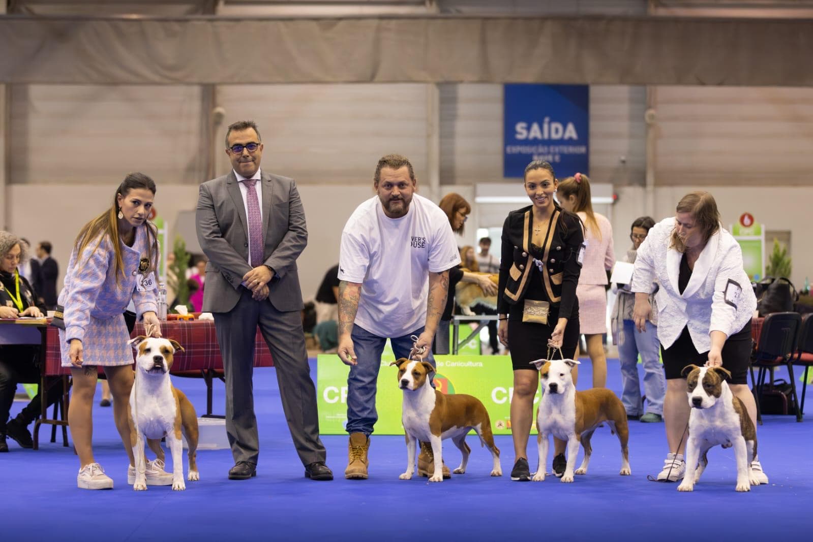 Um ringue, todas as classes, um só nome no topo: Lovershouse.