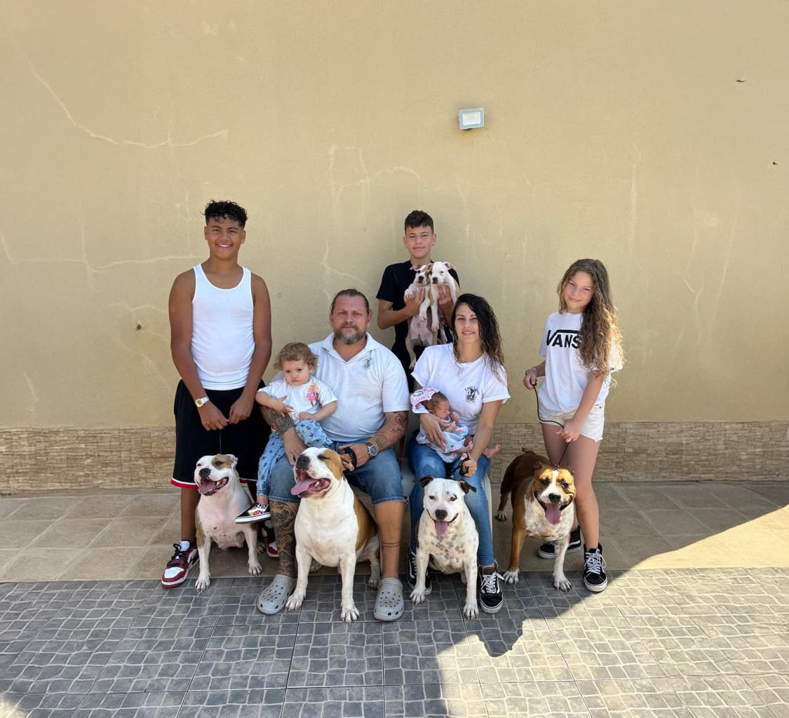 Uma família inteira dedicada à criação séria e responsável do verdadeiro American Staffordshire Terrier.